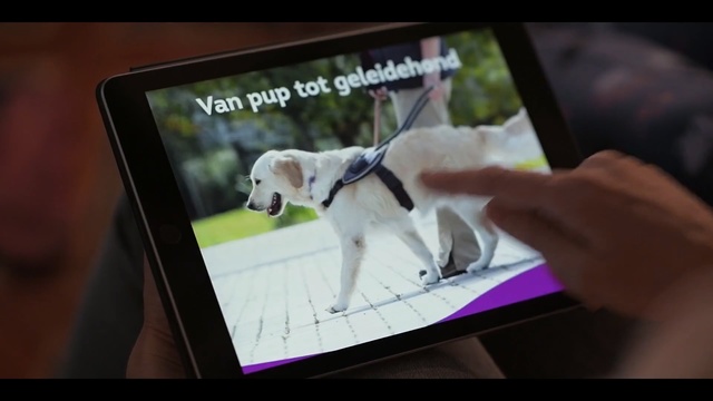 Video Reference: Canidae, Dog, Gadget, Display device, Technology, Electronic device, Dog breed, Photography, Photo caption, Sporting Group