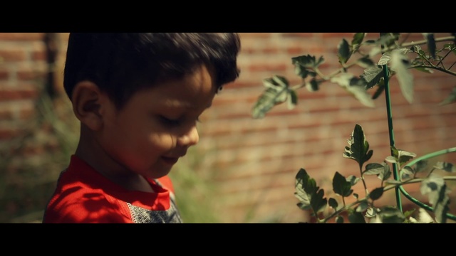 Video Reference: Child, Adaptation, Human, Leaf, Smile, Happy, Photography, Plant, Person, Indoor, Boy, Young, Looking, Table, Little, Red, Man, Small, Standing, Front, Holding, Sitting, Screen, Food, Shirt, Flower, Laptop, Wearing, Woman, Room, Cake, Pizza, Video, Toddler, Baby, Text, Human face