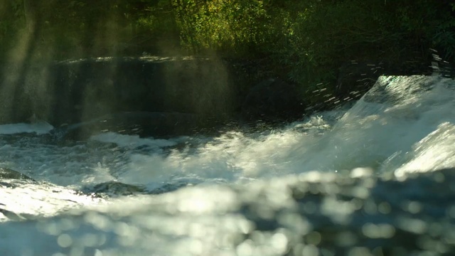 Video Reference: water, nature, water resources, waterfall, watercourse, body of water, river, water feature, rapid, nature reserve