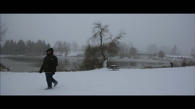 Video Reference: snow, winter, freezing, tree, sky, winter storm, blizzard, ice, frost, Person