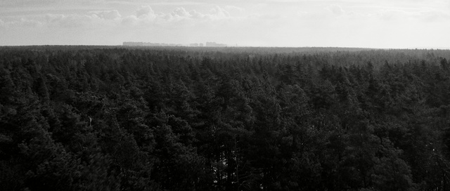 Video Reference: Black, Field, Atmospheric phenomenon, Sky, Black-and-white, Monochrome photography, Horizon, Grassland, Grass, Photography