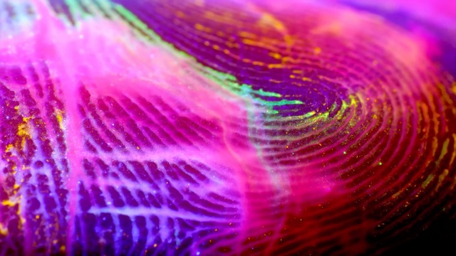 Video Reference: Pink, Green, Purple, Water, Light, Violet, Blue, Magenta, Red, Colorfulness