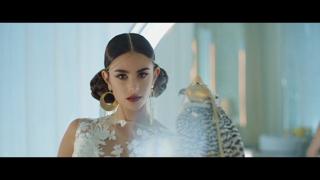 Video Reference: beauty, lady, girl, hairstyle, fashion, fashion accessory, dress, black hair, bride, jewellery, Person