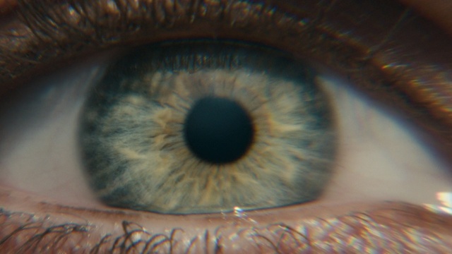Video Reference: Iris, Eye, Close-up, Eyelash, Organ, Blue, Eyebrow, Macro photography, Photography, Human body