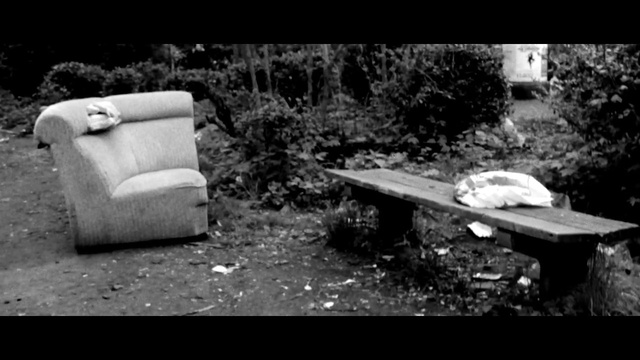 Video Reference: nature, black and white, black, photograph, monochrome photography, photography, sitting, still life photography, monochrome, tree