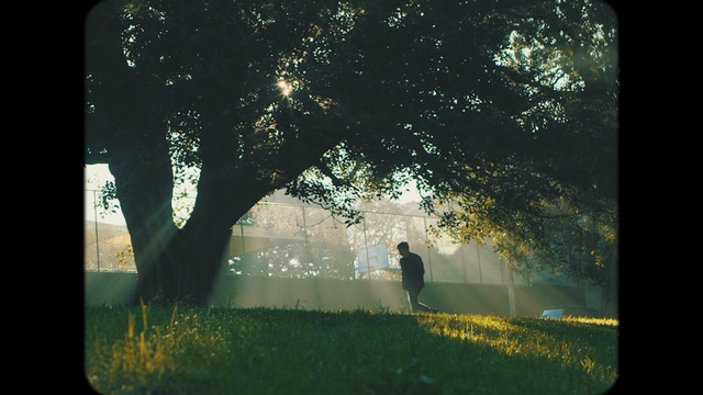 Video Reference: nature, green, tree, grass, light, atmosphere, photography, sunlight, leaf, morning, Person