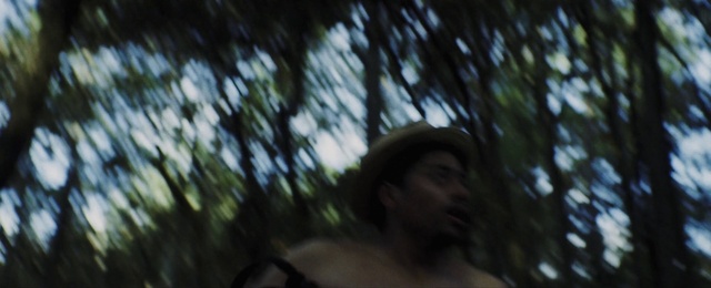 Video Reference: Natural environment, Tree, Forest, Jungle, Woody plant, Black hair, Sunlight, Photography, Branch, Plant