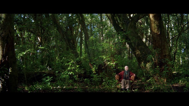 Video Reference: Forest, Nature, Woodland, Natural environment, Jungle, Old-growth forest, Tree, Wilderness, Vegetation, Nature reserve