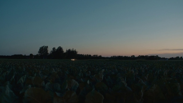 Video Reference: Sky, Horizon, Evening, Morning, Dusk, Cloud, Ecoregion, Atmosphere, Field, Crowd