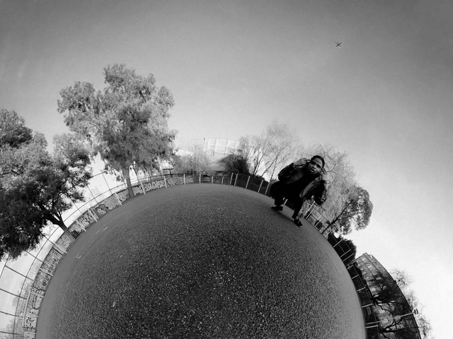 Video Reference: Black, White, Black-and-white, Monochrome, Monochrome photography, Tree, Sky, Photography, Eye, Stock photography