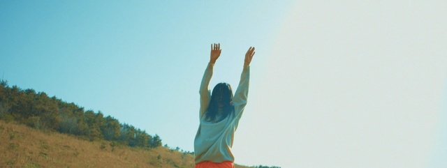 Video Reference: sky, tree, vacation, grass