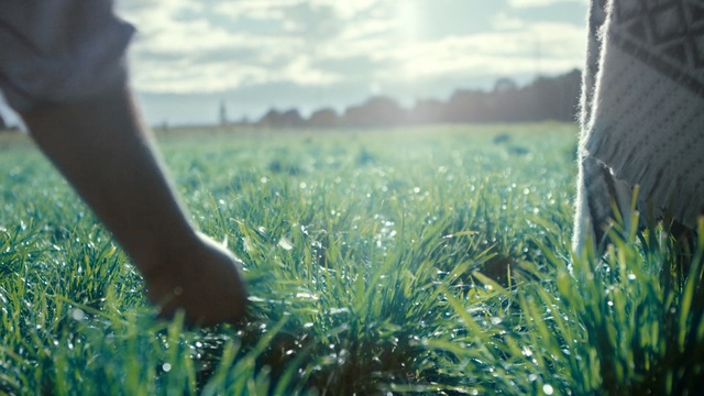 Video Reference: People in nature, Grass, Green, Nature, Sky, Light, Natural environment, Sunlight, Morning, Meadow, Person