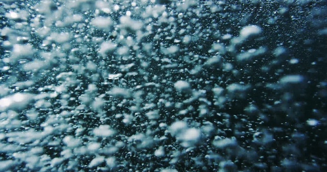 Video Reference: blue, water, freezing, winter, frost, atmosphere, moisture, close up, drop, tree