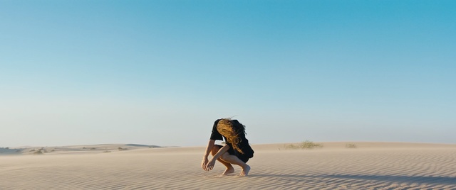 Video Reference: sky, sand, desert, vacation, sahara, aeolian landform, erg, dune, landscape, beach