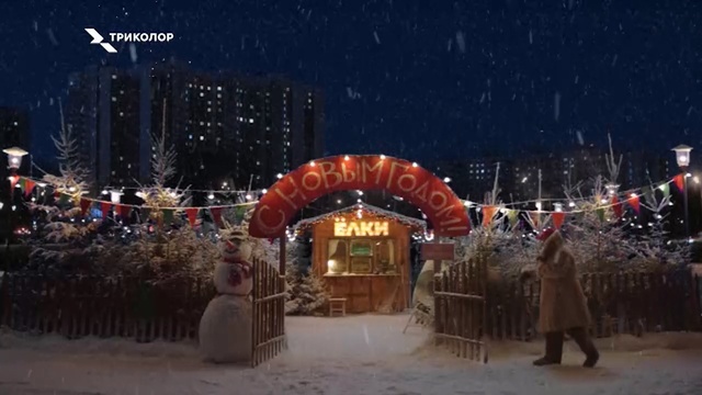 Video Reference: Winter, Event, Night, Fun, Holiday, Snow, Interior design, Festival, Christmas, Christmas lights