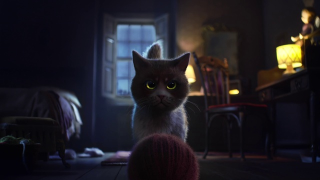 Video Reference: Cat, Whiskers, Small to medium-sized cats, Felidae, Black cat, Eye, Snout, Night, Carnivore, Darkness