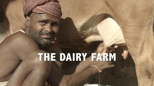 Video Reference: Human, Barechested, Adaptation, Muscle, Art, Person