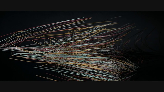 Video Reference: Grass, Stock photography, Whiskers, Plant, Darkness