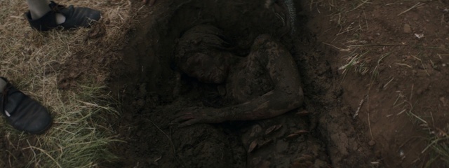 Video Reference: tree, darkness, screenshot, grass, forest, jungle