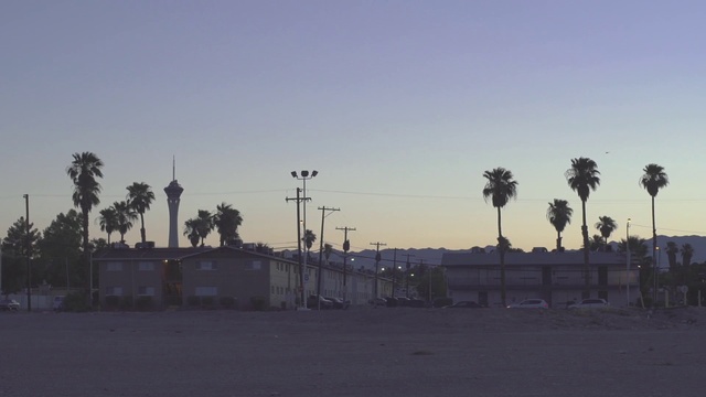 Video Reference: Sky, Tree, Palm tree, Arecales, Morning, Evening, Woody plant, Horizon, Plant, Architecture