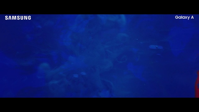 Video Reference: Blue, Cobalt blue, Atmosphere, Black, Violet, Marine biology, Electric blue, Sky, Purple, Azure