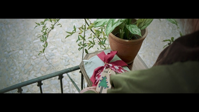 Video Reference: Houseplant, Flower, Leaf, Plant, Snapshot, Adaptation, Flowerpot, Organism, Floral design, Branch
