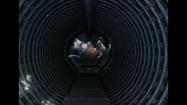 Video Reference: Mechanical fan, Circle, Aircraft engine