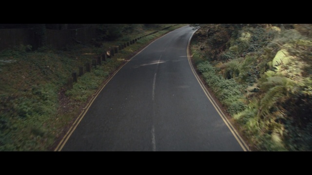 Video Reference: road, lane, nature, asphalt, infrastructure, sky, path, highway, mode of transport, road trip, Person