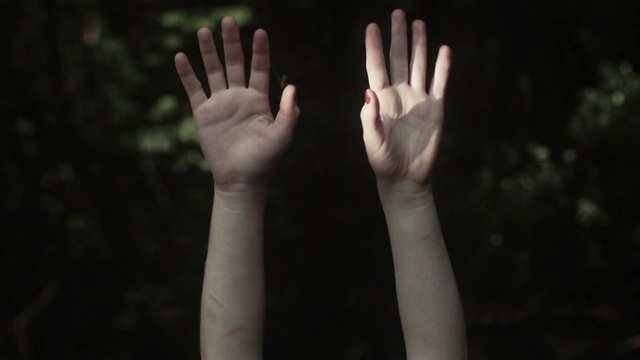 Video Reference: Hand, Finger, Arm, Gesture, Sky, Sign language, Nail, Darkness, Photography, Flesh, Person, Holding, Phone, Standing, Food, White, Thumb, Wrist, Feet, Toe