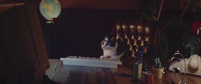 Video Reference: Room, Still life photography, Interior design, Photography, Furniture, Still life, Tourist attraction, Art