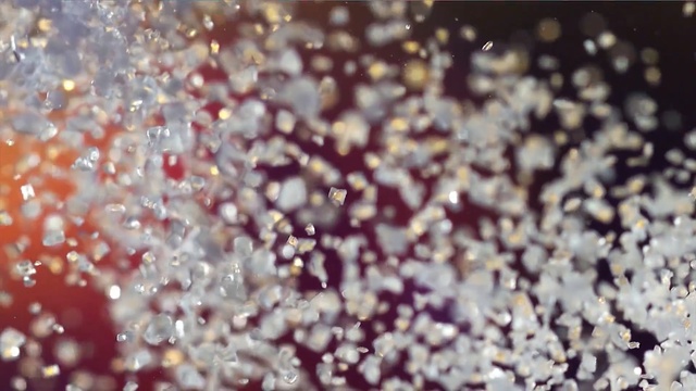 Video Reference: Water, Glitter, Close-up, Organism, Macro photography, Fashion accessory, Person