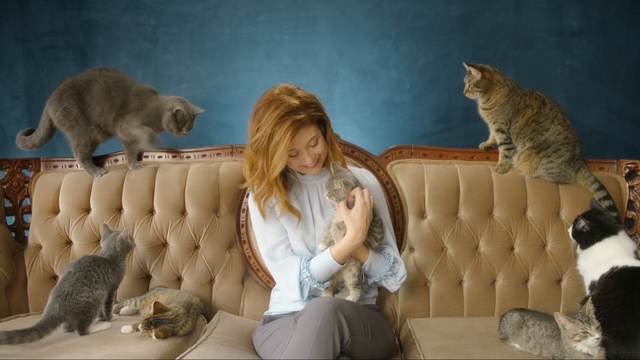 Video Reference: mammal, fauna, fur, cat, cat like mammal, carnivoran, fun, Person