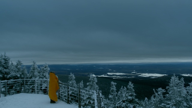 Video Reference: Snow, Winter, Sky, Nature, Tree, Freezing, Mountain, Wilderness, Atmospheric phenomenon, Horizon