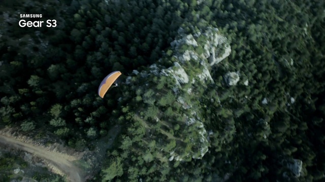 Video Reference: Nature, Organism, Natural environment, Reef, Biome, Marine biology, Coral reef, Tree, Plant, Photography