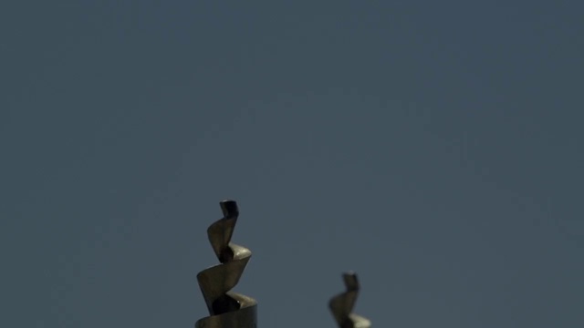 Video Reference: Sky, Bird, Atmosphere, Branch, Calm, Wing, Wildlife, Statue, Seabird, Beak