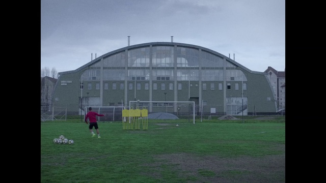 Video Reference: Sport venue, Grass, Architecture, Stadium, Biome, Football, Dome, Soccer-specific stadium, Photography, Arch