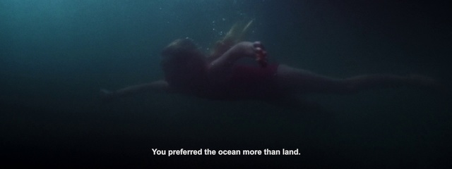 Video Reference: Underwater, Marine biology, Water, Sea, Organism, Marine mammal, Ocean, Recreation