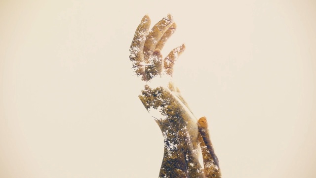 Video Reference: jewellery, macro photography, gold