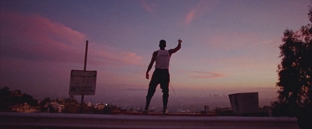 Video Reference: Sky, Horizon, Happy, Dusk, Photography, Cloud, Evening, Gesture