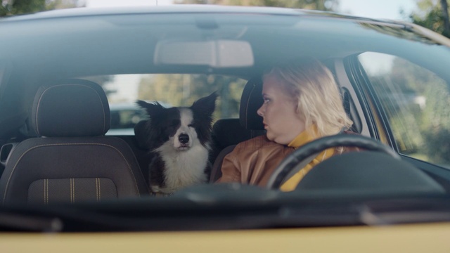 Video Reference: Dog, Canidae, Rear-view mirror, Vehicle door, Auto part, Automotive mirror, Companion dog, Vehicle, Carnivore, Driving