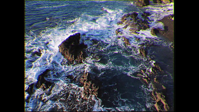 Video Reference: Water, Organism, Marine biology, World