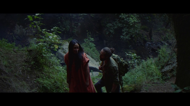 Video Reference: People in nature, Nature, Forest, Natural environment, Jungle, Green, Vegetation, Woodland, Wilderness, Tree