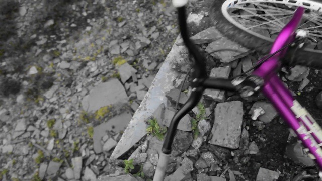 Video Reference: Soil, Bicycle wheel, Bicycle, Asphalt, Bicycle tire, Road surface, Bmx bike, Road bicycle, Plant, Bicycle motocross