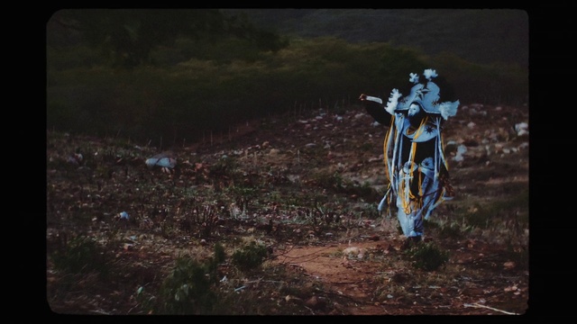 Video Reference: Atmosphere, Photography, Organism, Soil, Tree, Cross, Stock photography, Darkness, Religious item, Night