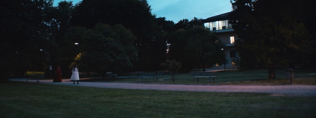 Video Reference: Photograph, Light, Sky, Lighting, Public space, Tree, Grass, Snapshot, Night, Lawn