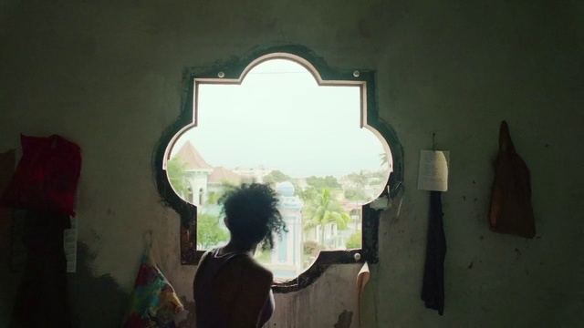 Video Reference: Light, Green, Wall, Room, Tree, Photography, Sunlight, Window, Architecture, Tints and shades