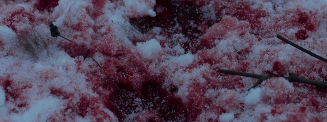 Video Reference: Tree, Plant, Food, Cuisine