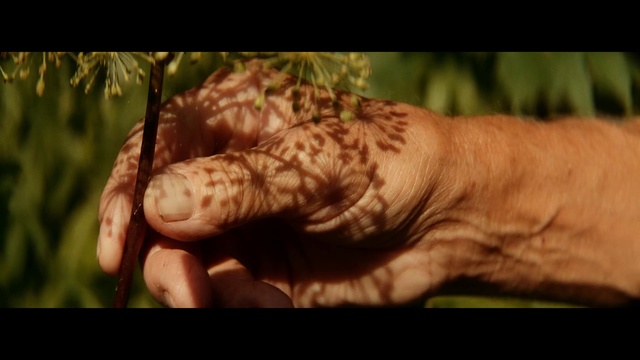 Video Reference: Skin, Mehndi, Hand, Pattern, Finger, Design, Human, Flesh, Arm, Henna