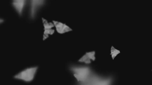 Video Reference: Black, White, Monochrome photography, Black-and-white, Photograph, Darkness, Monochrome, Nature, Still life photography, Macro photography