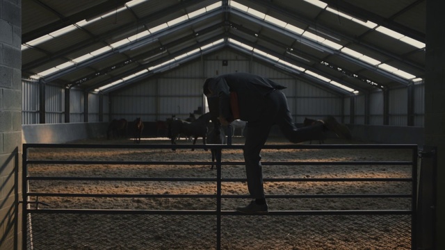 Video Reference: Standing, Shadow, Photography, Metal, Steel, Floor, Darkness, Daylighting, Fence, Indoor, Building, Horse, Man, Pen, Stable, Black, Bench, Barn, Woman, Enclosure, White, Holding, Jumping, Doing, Track, Trick, Room, Luggage, Riding, Ground, Ceiling, Footwear, Person, Clothing, Farm building
